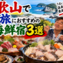 和歌山で一人旅におすすめの海鮮宿3選！ひとりでもクエや新鮮な魚料理を楽しめる宿を紹介
